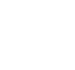 Elsevier